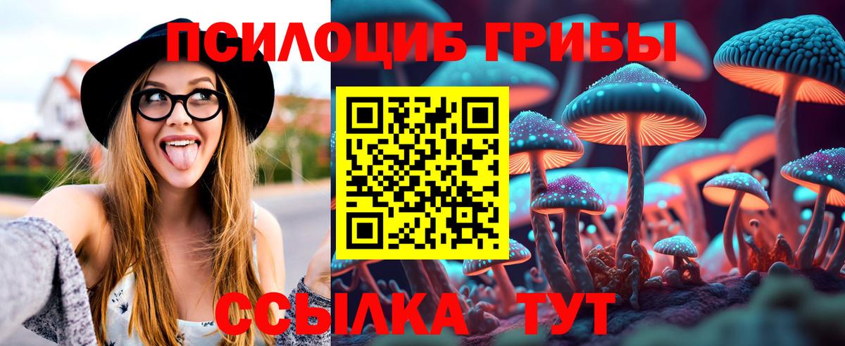 Псилоцибиновые грибы MAGIC MUSHROOMS  Вход с VPN  Псилоцибиновые грибы мухоморы  Дедовск 