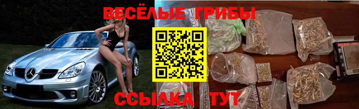 Псилоцибиновые грибы GOLDEN TEACHER Дедовск